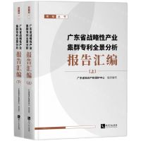 [N]广东省战略性产业集群专利全景分析报告汇编(上下)/粤知丛书-9787513087933