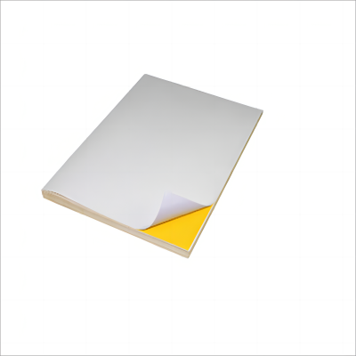 彩标 BGJ-200 300mm*200mm 50张/盒 标签胶贴 (计价单位:盒) 白色