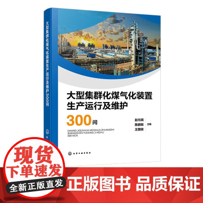 大型集群化煤气化装置生产运行及维护300问 煤气化基础知识 生产准备与试车 生产操作与维护 设备运行与维护 电气与仪表基