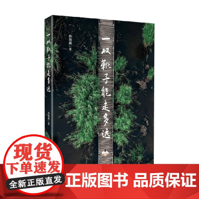 一双靴子能走多远 孙海燕 著 作品集