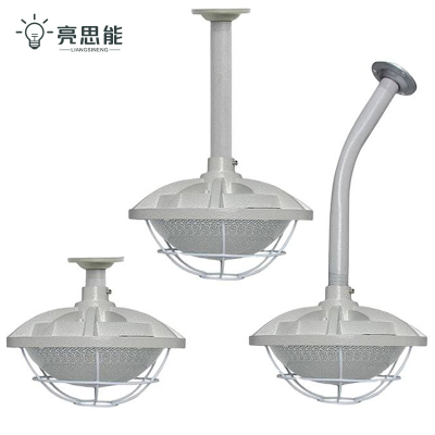 亮思能 LED防爆灯 三防飞碟灯 免维护隔爆灯LSN-DLB 30W 个