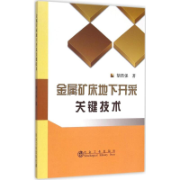 音像金属矿床地下开采关键技术胡杏保 著