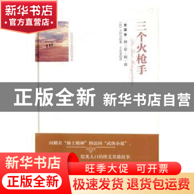 正版 三个火枪手:全译本 (法)大仲马 著,王东莹 译 团结出版社
