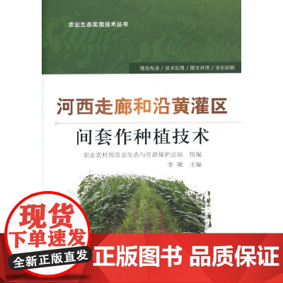 河西走廊和沿黄灌区间套作种植技术