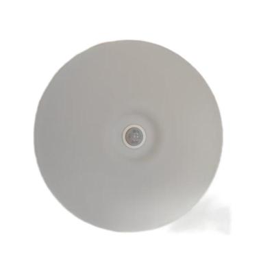 鑫彪人体感应吸顶灯12W/个