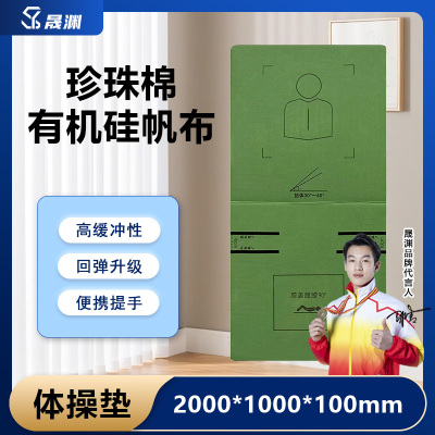 晟渊 YT211仰卧卷腹训练垫仰卧起坐折叠垫[牛津布两折叠] 5个装 200*100*10cm