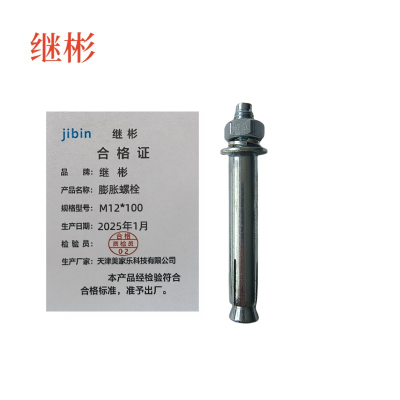 继彬膨胀螺栓M12*100 个
