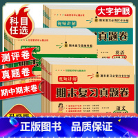 [单本/人教版]语文试卷 三年级上 [正版]一年级二年级三年级四五六年级上册下册试卷测试卷全套人教版语文数学英语期末复习