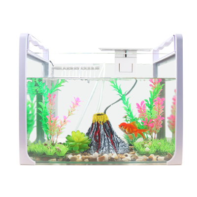 小金鱼缸水族箱客厅玻璃缸小乌龟缸办公桌面长方形创意造景火山石