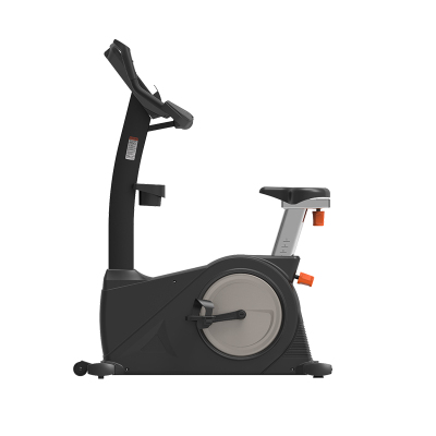 胜迈 SM-501 立式健身车