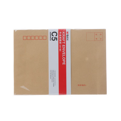 晨光文具牛皮纸信封工资袋发票袋 220*110mm C5 20个/包 AGWN8533 5包起拍