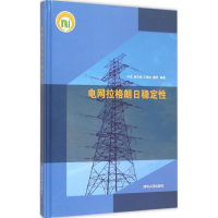 正版新书]电网拉格朗日稳定性齐欢9787302393917