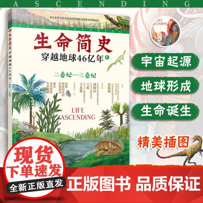 生命简史 穿越地球46亿年 二叠纪 三叠纪 6-12-15岁儿童中小学生青少年科普读物 宇宙起源地球形成生命诞生史前世界