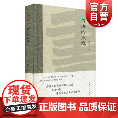 书法的底线 斯舜威 海上题襟 艺术理论研究书籍 名家佳作艺术书籍 精品书法文化丛书 上海书画出版社