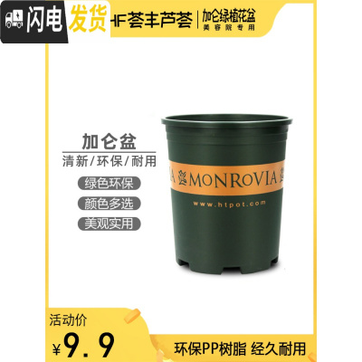 三维工匠加仑盆加厚大花盆多肉绿植花卉盆栽芦荟兰花绿萝鲜花月季专用花盆 [3个装]高1加仑(16cm*17cm) 花盆容器