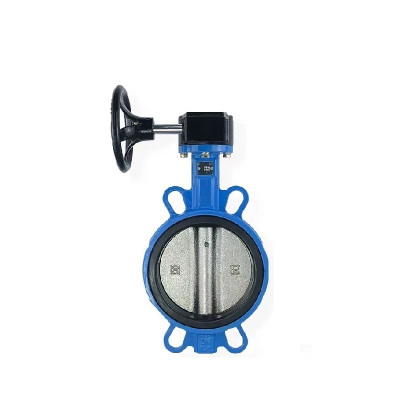 伟鹏双兴 涡轮铸铁对夹式蝶阀 DN250四氟/304阀板 台