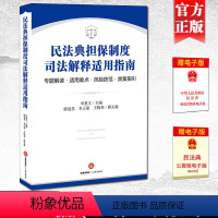 [正版]2021新 民法典担保制度司法解释适用指南 专题解读 适用难点 风险防范 类案指引 担保法律风险防范 担保纠纷
