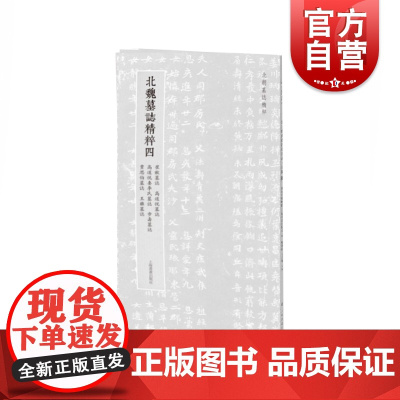 北朝墓志精粹四 崔猷墓志高道悦墓志高道悦妻李氏墓志步寿墓志贾思伯墓志王雍墓志上海书画出版社 毛笔书法篆刻高清名家字帖