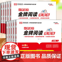小学语文金牌阅读周周练小学生阅读理解专项训练书二三四五六年级上册下册课外阅读强化训练题人教版每日一练小升初公式法答题技巧