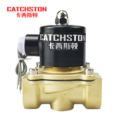 卡西斯顿 管道电磁阀 2W400-40 个