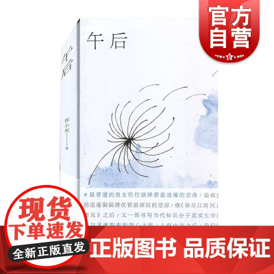 午后 邢小利著上海文艺出版社书写当代知识分子真实生存困境与灵魂裂变中国现当代文学作品集短篇小说集