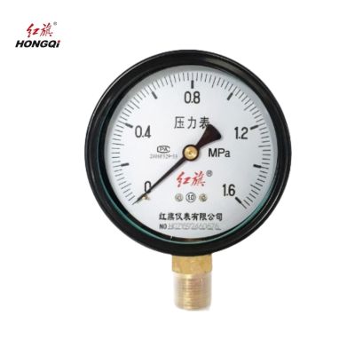 红旗 高精度压力表定制检测款Y100 1级 (压力值需备注) 块