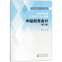 音像中级财务会计邵子复 主编
