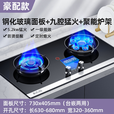志高(CHIGO)煤气灶双灶家用燃气灶嵌入式台式天然气液化气猛火炉具天燃气 豪配玻璃鸳鸯聚能定时