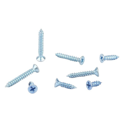 志浪 镀锌沉头自攻钉4*16 个