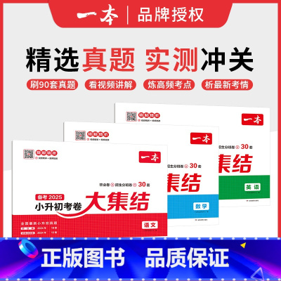 考卷大集结★[语文+数学+英语]3本 小学升初中 [正版]2025小升初冲刺新卷语文数学英语小升初真题卷必刷题人教版名校