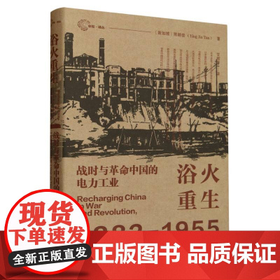 浴火重生1882-1955 精 新加坡 陈颖佳 战时与革命中国的电力工业 历史书籍 社会科学文献出版社
