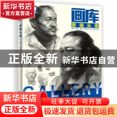 正版 画库:素描头像 王海强主编 中国水利水电出版社 97875170525