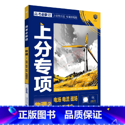 高考必刷题上分专项 高考物理2 [正版]2025版高考必刷题上分专项物理2电场电流磁场电磁感应杨文彬上分有方法补短板微课