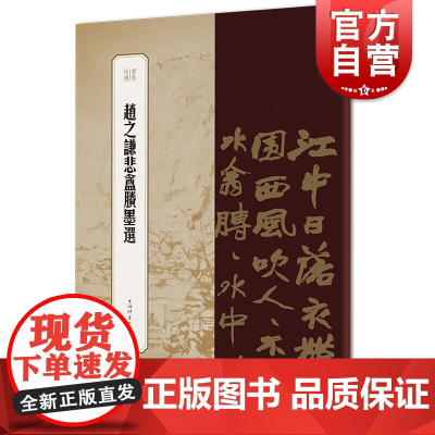 赵之谦悲盦賸墨选 书苑拾遗 名碑名帖书法临摹观赏 篆刻毛笔字碑帖书法字帖 上海辞书出版社