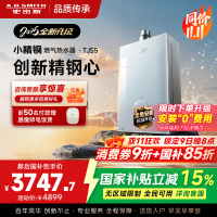 史密斯佳尼特[小精钢TJS5]16升增压零冷水燃气热水器 国家补贴 JSQ31-TJS5 安全守护 持久恒温 新品