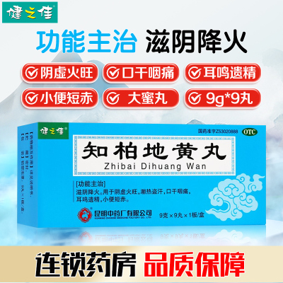 健之佳 知柏地黄丸 9克*9丸*1板/盒 滋阴降火 用于阴虚火旺 潮热盗汗 口干咽痛 耳鸣遗精 小便短赤