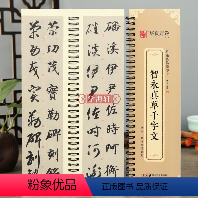 [正版]学海轩 智永真草千字文全文收录近距离临摹字卡书法示范活页字卡放大版真草毛笔字帖初学者临摹范本楷书草书高清对照本