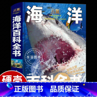海洋百科全书 [正版]精装大绘本儿童海洋百科全书揭秘海底世界动物生物概况形成过程世界各地分部岛屿鲨鱼珊瑚海龟小学生三四五