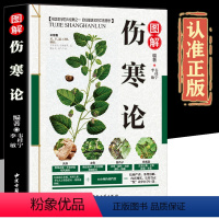 [正版]伤寒论张仲景原著全集图解伤寒杂病论白话文全解伤寒论倪海厦中医养生书籍大全医学全书古籍出版社学中医基础知识自学入