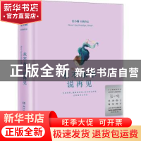 正版 永不永不说再见 张小娴 湖南文艺出版社 9787540488093 书籍