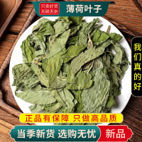 薄荷叶子100克干货正品官方店新货薄荷夜息香泡水喝养生茶甄选薄荷叶子9260