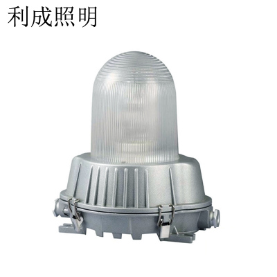 利成照明 防眩泛光灯 LC1210-70