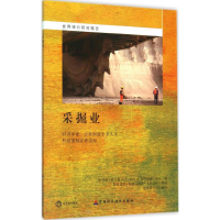 音像采掘业