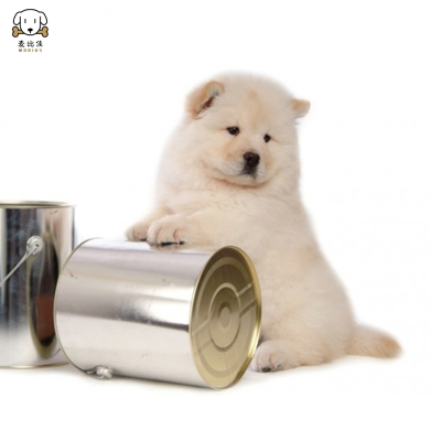 麦比佳 松狮犬幼犬松狮狗狗活体 纯种双血统大骨架大肉嘴松狮狗赛级面包嘴中大型家庭犬米白色黄色黑色 视频挑选