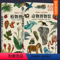 [正版]植物博物馆+动物博物馆影响 全2册 纸上博物馆手绘动物图鉴生命演化故事动物科普绘本3-6-9岁儿童动物百科全书
