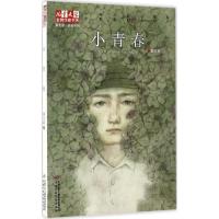正版新书]小青春秦文君9787514837674