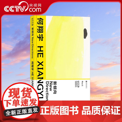 [央视网]新倾向 何翔宇 artnet2016首届年度艺术大奖 新锐艺术家 得主何翔宇艺术专著 北京联合出版有限公司 H