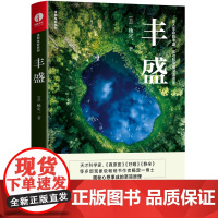 [正版书籍]丰盛 杨定一的书籍全部生命系列华龄出版社揭秘心想事成的至简真理参透秘密吸引力法则的成功秘诀励志书籍 颉腾文化