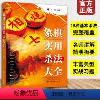 [正版] 象棋实用杀法大全 刘准 18种基本杀法全覆盖 名师讲解简明扼要 实战习题技巧运用 零基础象棋自学教程图书籍