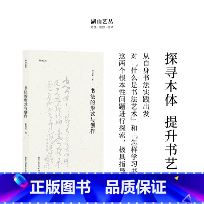 [正版]湖山艺丛:书法的形式与创作 胡抗美著 汉字书法文集 了解书法史书法理论书法文化的极佳入门读本书法爱好者艺术创作